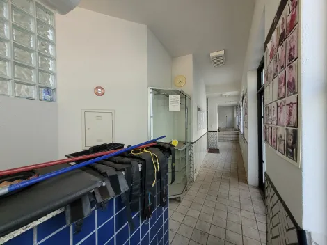 imagem 3 - Prédio/academia para aluguel no Proença em Campinas-SP imagem 3 - Prédio/academia para aluguel no Proença em Campinas-SP
