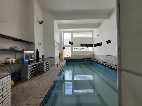 imagem 4 - Prédio/academia para aluguel no Proença em Campinas-SP imagem 4 - Prédio/academia para aluguel no Proença em Campinas-SP