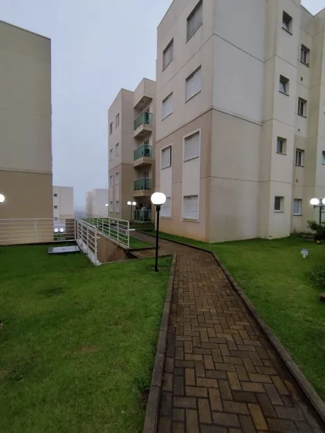 Apartamento mobiliado no condomínio Parque dos pássaros  em Campinas-SP