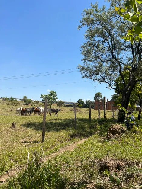 Terreno á venda com 29.000m² Av John Boyd Dunlop - Campinas/SP