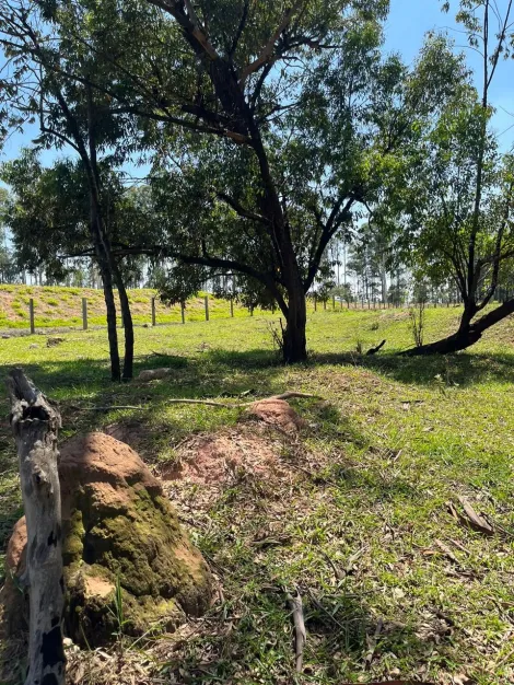 Terreno á venda com 29.000m² Av John Boyd Dunlop - Campinas/SP