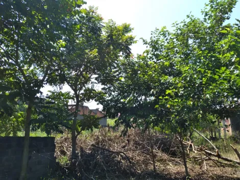 imagem 4 - Terreno - Área imagem 4 - Terreno - Área
