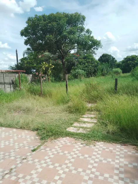 imagem 1 - Rural - Chácara imagem 1 - Rural - Chácara