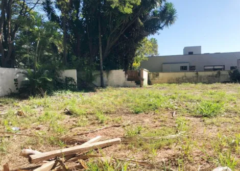 imagem 2 - Terreno de 1600m² para locação no Nova Campinas em Campinas-SP imagem 2 - Terreno de 1600m² para locação no Nova Campinas em Campinas-SP