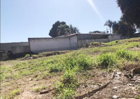 imagem 3 - Terreno de 1600m² para locação no Nova Campinas em Campinas-SP imagem 3 - Terreno de 1600m² para locação no Nova Campinas em Campinas-SP