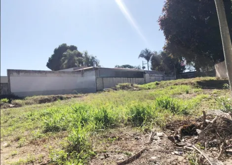 imagem 4 - Terreno de 1600m² para locação no Nova Campinas em Campinas-SP imagem 4 - Terreno de 1600m² para locação no Nova Campinas em Campinas-SP