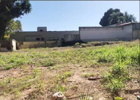 imagem 5 - Terreno de 1600m² para locação no Nova Campinas em Campinas-SP imagem 5 - Terreno de 1600m² para locação no Nova Campinas em Campinas-SP