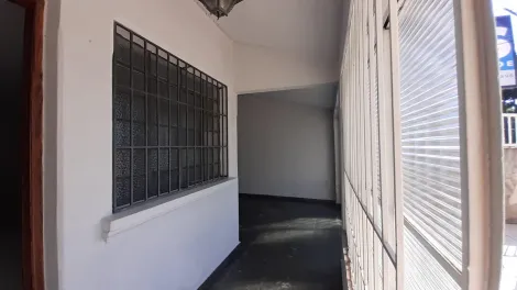 imagem 3 - Casa para venda no bairro Cambuí, em Campinas imagem 3 - Casa para venda no bairro Cambuí, em Campinas