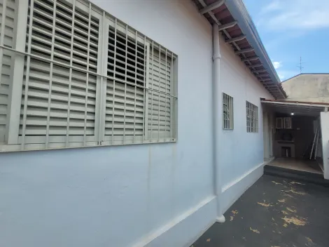 Casa de fundos independente no Taquaral em Campinas/SP