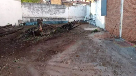 imagem 3 - Terreno com 394 m² à venda no Botafogo em Campinas/SP imagem 3 - Terreno com 394 m² à venda no Botafogo em Campinas/SP
