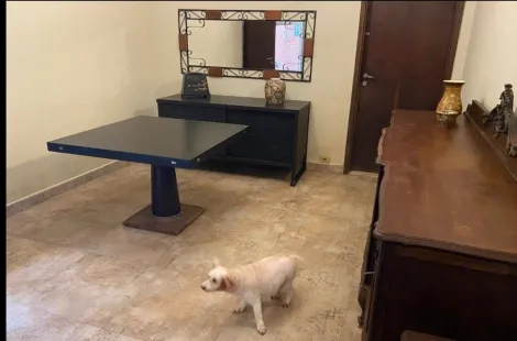 imagem 5 - Casa à venda com 3 quartos 1 suíte e com 1 edícula no Bairro Boa Esperança em Campinas/SP imagem 5 - Casa à venda com 3 quartos 1 suíte e com 1 edícula no Bairro Boa Esperança em Campinas/SP
