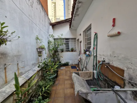 imagem 2 - Casa à venda no Centro de Campinas, São Paulo imagem 2 - Casa à venda no Centro de Campinas, São Paulo