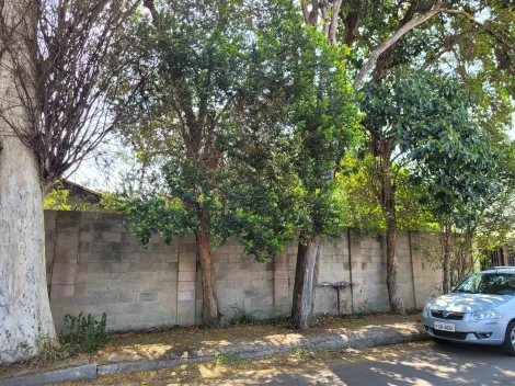 imagem 3 - Casa à venda, próxima ao centro de Barão, ao lado do Objetivo, com 5 quartos, em Barão Geraldo, Campinas/SP. imagem 3 - Casa à venda, próxima ao centro de Barão, ao lado do Objetivo, com 5 quartos, em Barão Geraldo, Campinas/SP.
