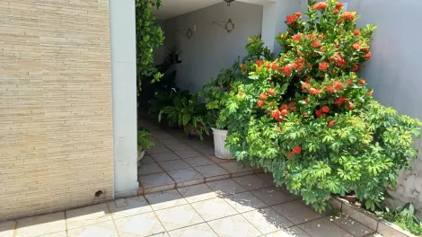imagem 5 - Casa a venda com 3 quartos, suite e escritorio na Vila Nogueira em Campinas/SP imagem 5 - Casa a venda com 3 quartos, suite e escritorio na Vila Nogueira em Campinas/SP