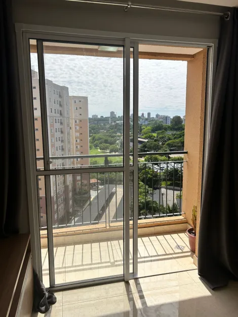 imagem 5 - Apartamento com 3 quartos, sendo 1 suíte, 2 banheiros, 2 vagas à venda na Vila Saturnia em Campinas/SP imagem 5 - Apartamento com 3 quartos, sendo 1 suíte, 2 banheiros, 2 vagas à venda na Vila Saturnia em Campinas/SP