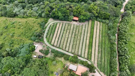 imagem 5 - Sítio para venda em Joaquim Egídio em Campinas/SP imagem 5 - Sítio para venda em Joaquim Egídio em Campinas/SP