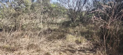 imagem 3 - Área para venda no Jardim Campina Grande em Campinas/SP imagem 3 - Área para venda no Jardim Campina Grande em Campinas/SP