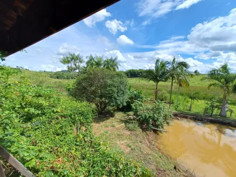 imagem 5 - Sitio com 3,70 hectares a venda em Caconde-SP imagem 5 - Sitio com 3,70 hectares a venda em Caconde-SP