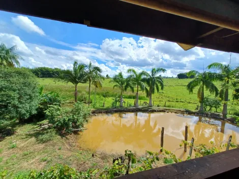 imagem 4 - Sitio com 3,70 hectares a venda em Caconde-SP imagem 4 - Sitio com 3,70 hectares a venda em Caconde-SP