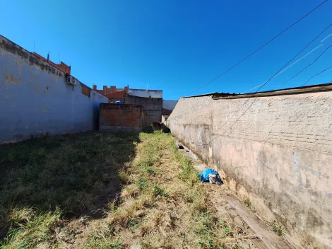 imagem 2 - Terreno - Padrão imagem 2 - Terreno - Padrão