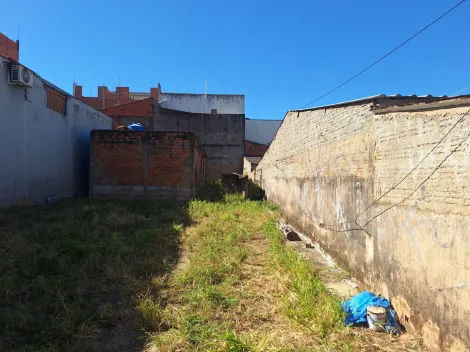imagem 3 - Terreno - Padrão imagem 3 - Terreno - Padrão
