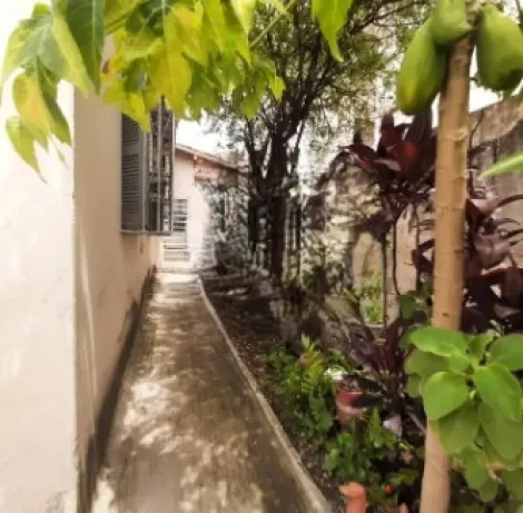 imagem 3 - Casa a venda  excelente localização no Taquaral para Fins Comerciais imagem 3 - Casa a venda  excelente localização no Taquaral para Fins Comerciais