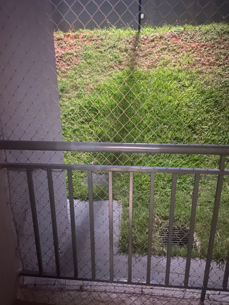imagem 5 - Apartamento térreo com 2 quartos 1 banheiro 1 vaga a venda na Vila Mimosa em Campinas-SP imagem 5 - Apartamento térreo com 2 quartos 1 banheiro 1 vaga a venda na Vila Mimosa em Campinas-SP