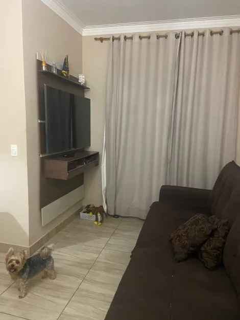 imagem 2 - Apartamento térreo com 2 quartos 1 banheiro 1 vaga a venda na Vila Mimosa em Campinas-SP imagem 2 - Apartamento térreo com 2 quartos 1 banheiro 1 vaga a venda na Vila Mimosa em Campinas-SP