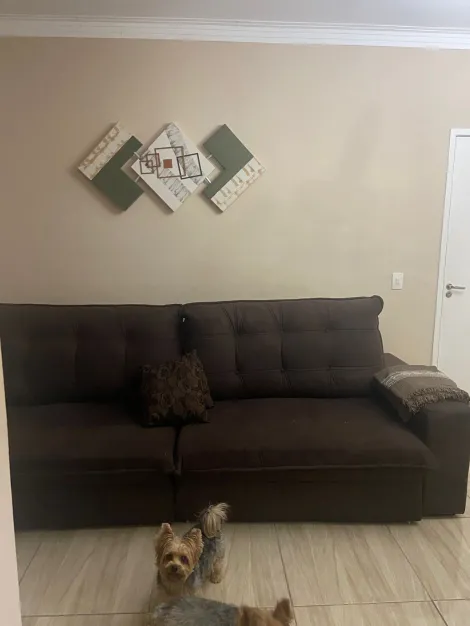 imagem 3 - Apartamento térreo com 2 quartos 1 banheiro 1 vaga a venda na Vila Mimosa em Campinas-SP imagem 3 - Apartamento térreo com 2 quartos 1 banheiro 1 vaga a venda na Vila Mimosa em Campinas-SP