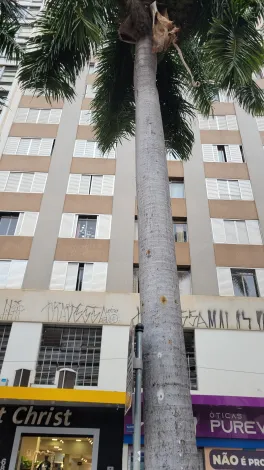 imagem 1 - Apartamento de 2 quartos à venda sem garagem no Centro de Campinas/SP. imagem 1 - Apartamento de 2 quartos à venda sem garagem no Centro de Campinas/SP.