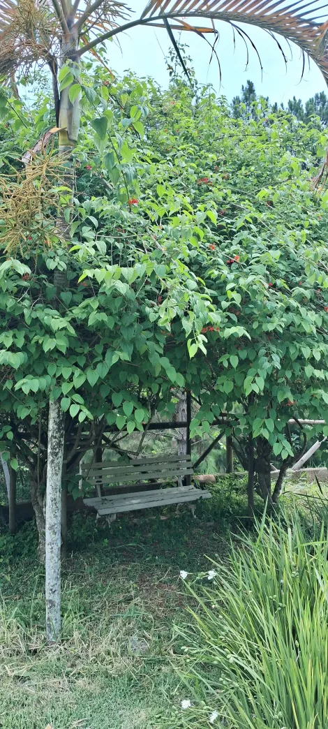 imagem 2 - Oportunidade única em Jarinu/SP - Chácara à venda, não disponível para aluguel ou permuta. imagem 2 - Oportunidade única em Jarinu/SP - Chácara à venda, não disponível para aluguel ou permuta.