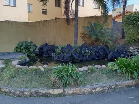 imagem 4 - Apartamento 2 Quartos, 1 Vaga de Garagem Coberta no Residencial Nascer do Sol em Campinas/SP imagem 4 - Apartamento 2 Quartos, 1 Vaga de Garagem Coberta no Residencial Nascer do Sol em Campinas/SP