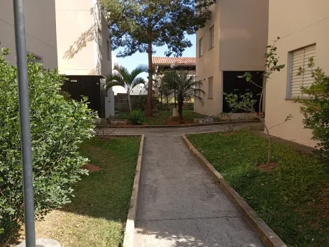 imagem 5 - Apartamento 2 Quartos, 1 Vaga de Garagem Coberta no Residencial Nascer do Sol em Campinas/SP imagem 5 - Apartamento 2 Quartos, 1 Vaga de Garagem Coberta no Residencial Nascer do Sol em Campinas/SP