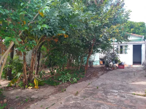 imagem 1 - Casa com 2 quartos 1 banheiro 2 vagas para aluguel no Jardim Amanda I em Hortolandia-SP imagem 1 - Casa com 2 quartos 1 banheiro 2 vagas para aluguel no Jardim Amanda I em Hortolandia-SP