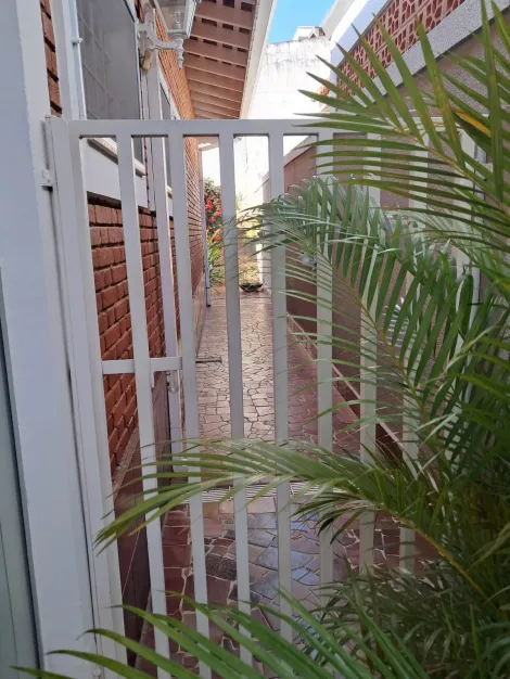 imagem 3 - Casa comercial para locação com 7 salas no Jardim Nossa Senhora Auxiliadora em Campinas/SP. imagem 3 - Casa comercial para locação com 7 salas no Jardim Nossa Senhora Auxiliadora em Campinas/SP.