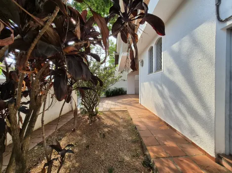 imagem 4 - Casa com 4 quartos 4 banheiros 4 vagas para aluguel no Nova Campinas em Campinas-SP imagem 4 - Casa com 4 quartos 4 banheiros 4 vagas para aluguel no Nova Campinas em Campinas-SP